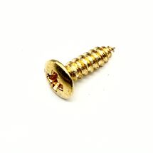 Ovaalikanta puuruuvi 2.5mm x 12mm kulta