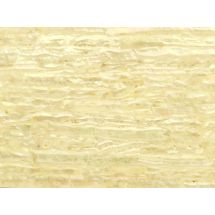 Laminated shell veneer GASTROPOD 70 x 120 mm