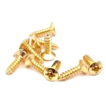 Pleksiruuvisetti 20 kpl, kulta, ovaalikanta