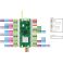 Raspberry Pi Pico W (pre-soldered headers)